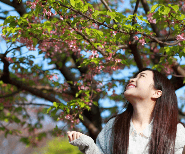 Young Filipina Smiling Under the Cherry Blossom Tree