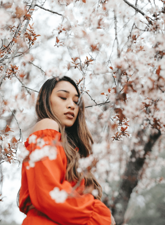 Young Filipina Girlfriend Standing Under the Cherry Blossom Trees